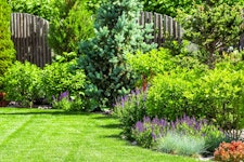 4 Simple Design Ideas That Will Transform Your Garden